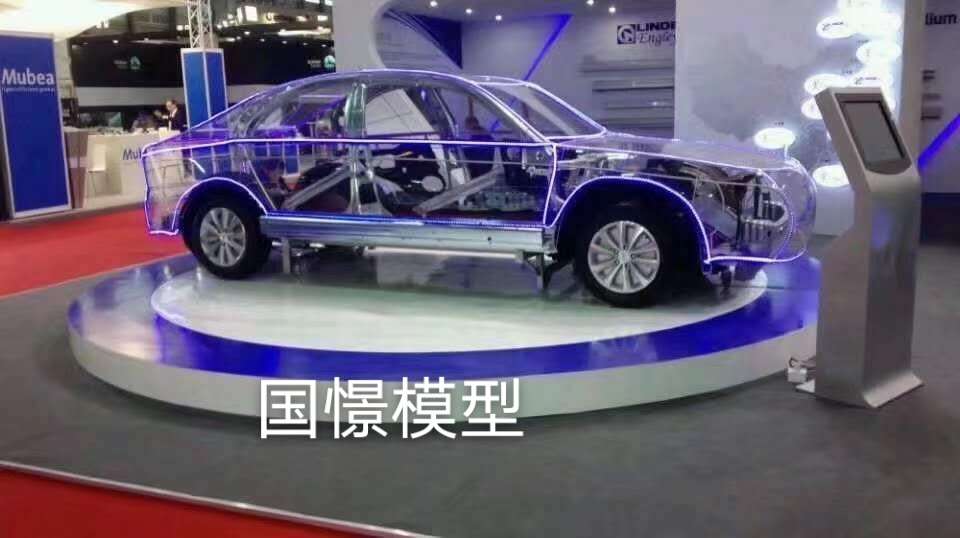 灵川县透明车模型